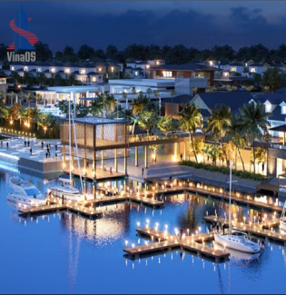 Dai Phuoc Lotus - Zone 5