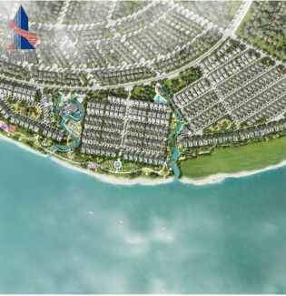 Dai Phuoc Lotus - Zone 4