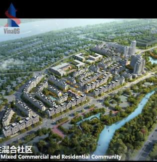 Dai Phuoc Lotus - Zone 6